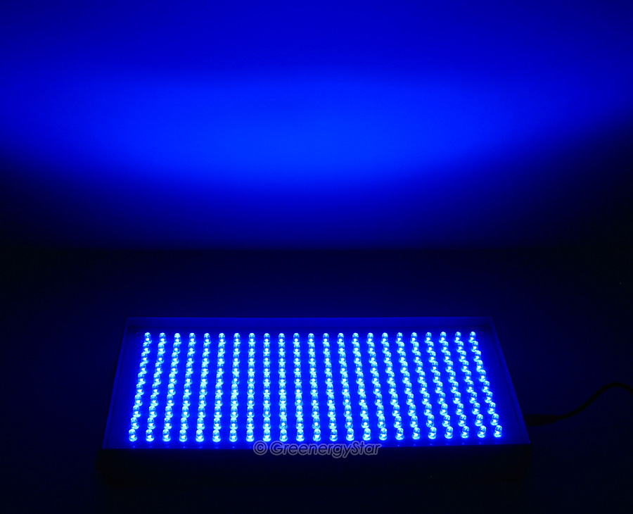 Tilbageholdelse har filosofi 16W 230pcs Blue LED Grow Light Panel + 100V-240V 50-60Hz AC Adaptor -  Greenergystar