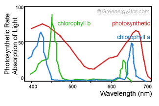 Photosynthetic Rate