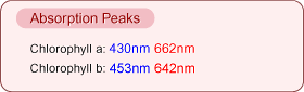 Absorption Peaks