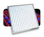 16 Watt Purple LED Panel