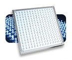 16 Watt Blue LED Panel