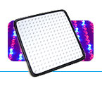 13 Watt Purple LED Panel