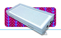 30 Watt Purple LED Panel